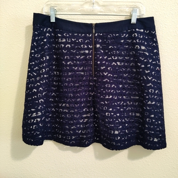 The Limited A-Line Lace with Striped Lining Skirt Size 12 - Picture 7 of 10